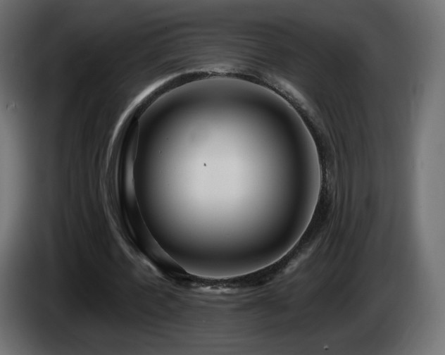 X0000085060532200703051441