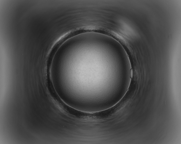 X0000085060535200703051441