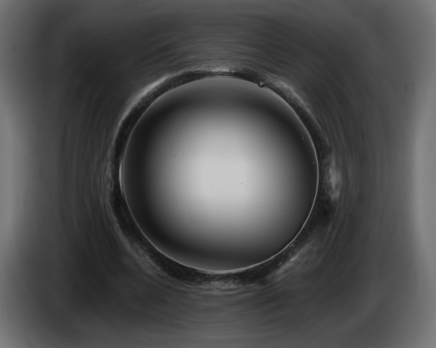 X0000085060536200703051441