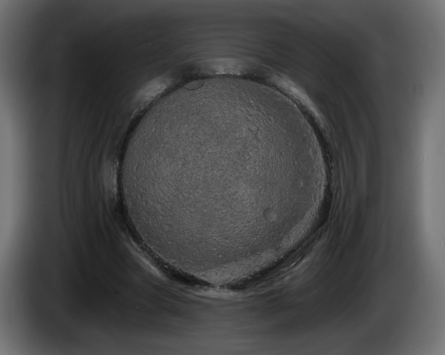 X0000085060537200703051441