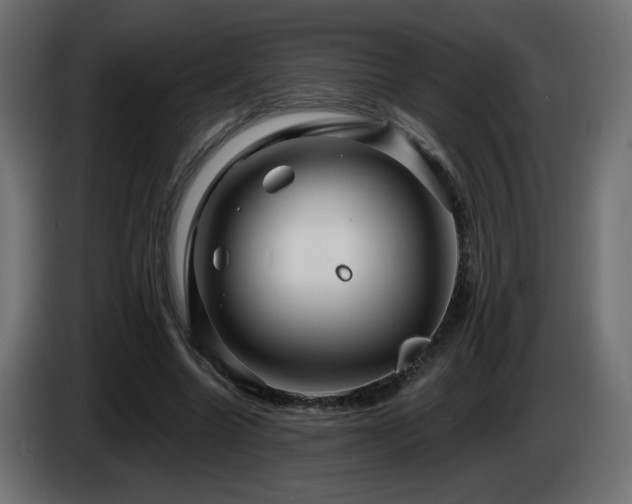 X0000085060538200703051441