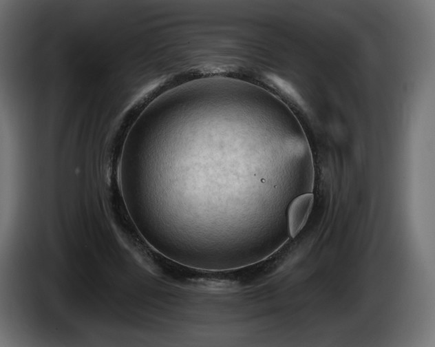 X0000085060539200703051441