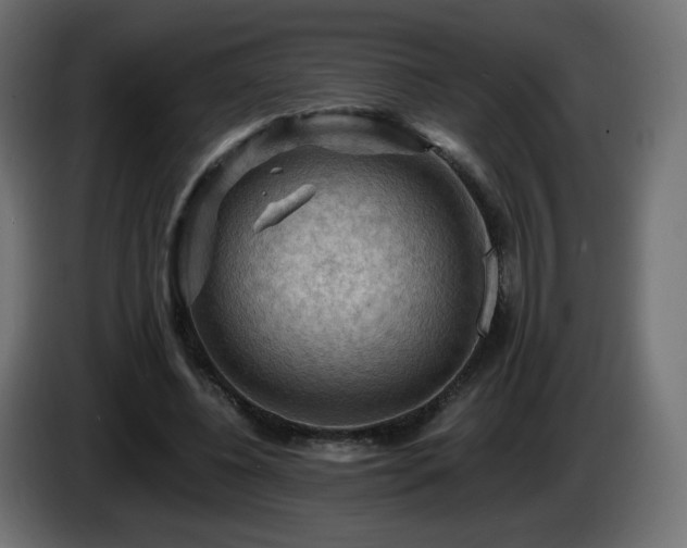 X0000085060540200703051441