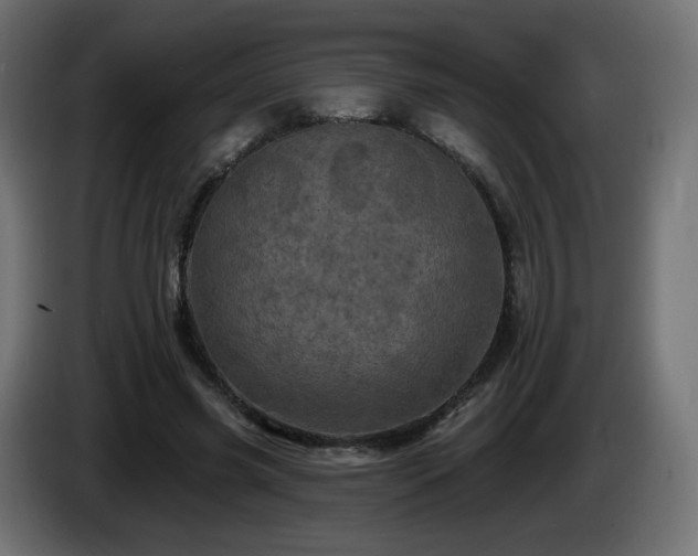 X0000085060541200703051441