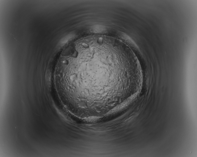 X0000085060542200703051441
