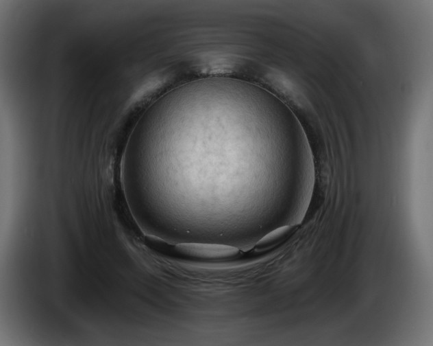 X0000085060543200703051441