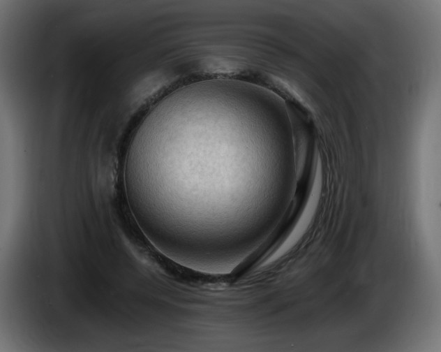 X0000085060544200703051441