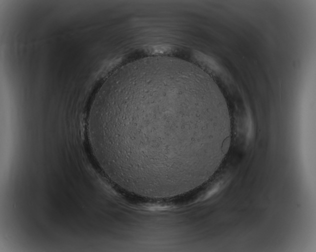 X0000085060545200703051441