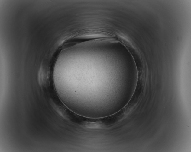 X0000085060548200703051441