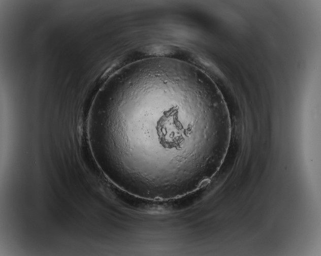 X0000085060549200703051441