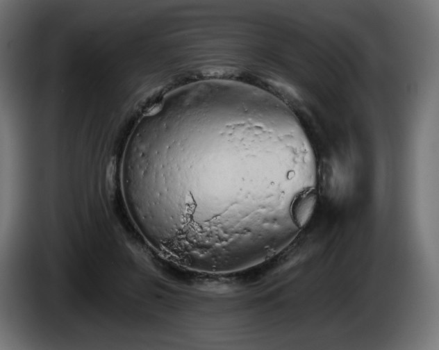 X0000085060550200703051441