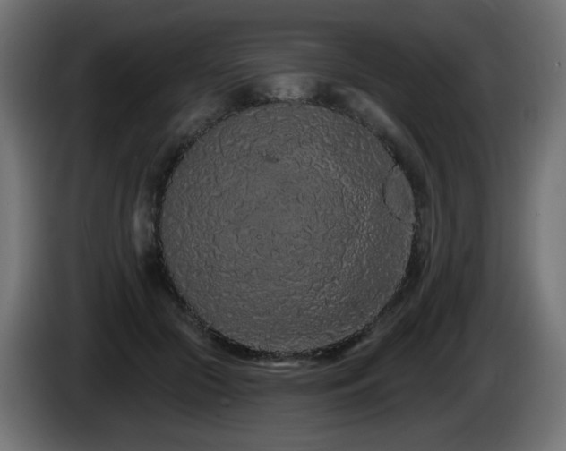 X0000085060553200703051441