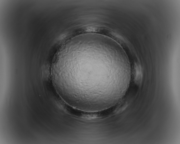 X0000085060554200703051441