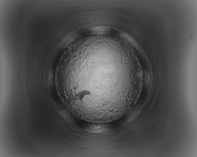 X0000085060557200703051441