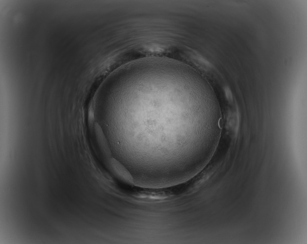 X0000085060559200703051441