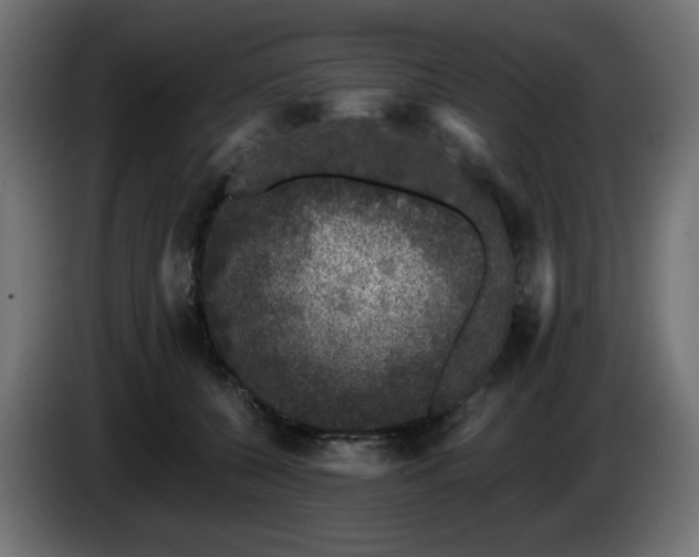X0000085060560200703051441