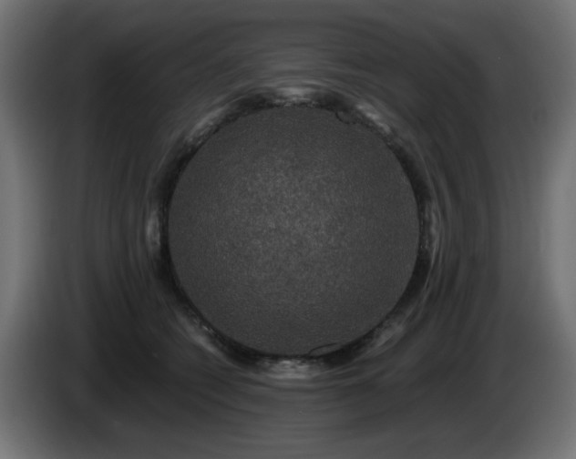 X0000085060562200703051441
