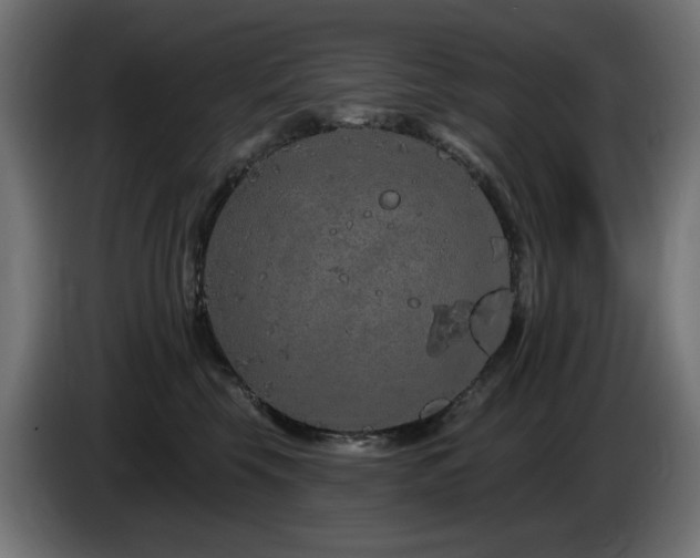 X0000085060569200703051441