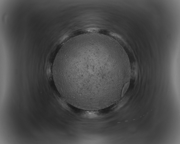 X0000085060573200703051441