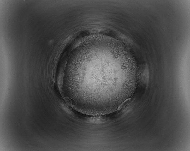 X0000085060574200703051441