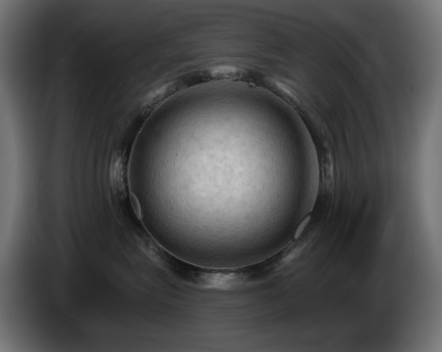 X0000085060575200703051441