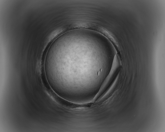 X0000085060578200703051441