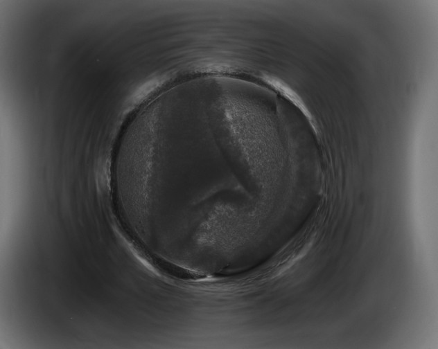 X0000085060581200703051441