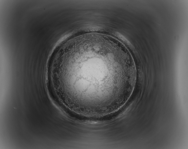 X0000085060582200703051441
