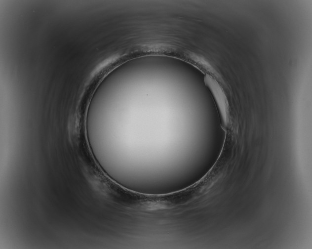 X0000085060583200703051441