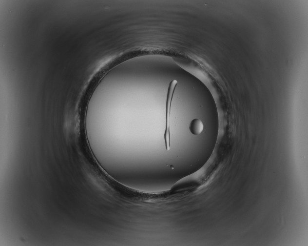 X0000085060584200703051441