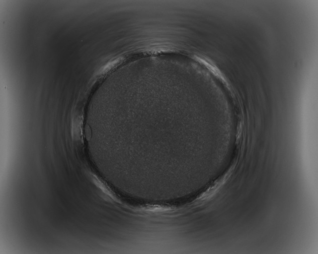 X0000085060585200703051441