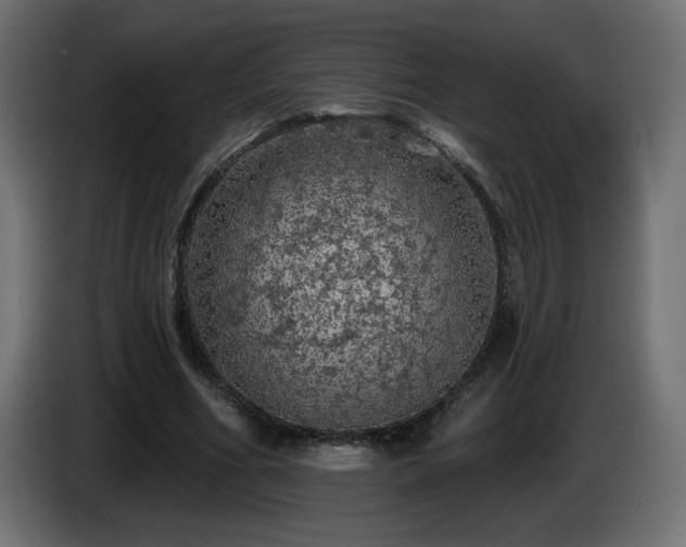 X0000085060586200703051441