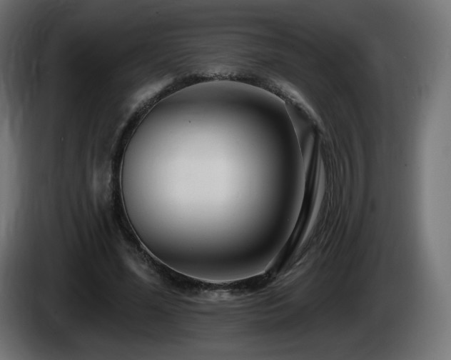 X0000085060588200703051441