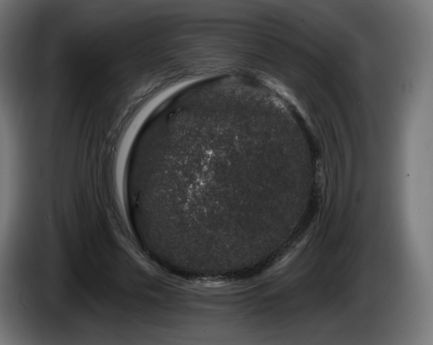 X0000085060589200703051441