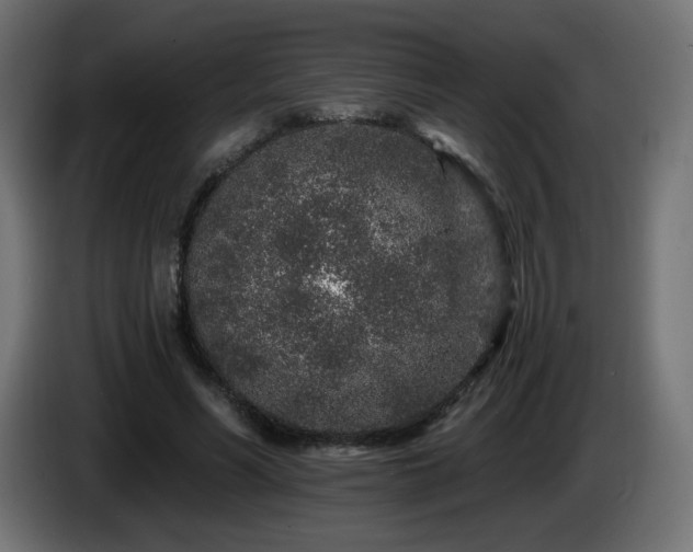 X0000085060590200703051441