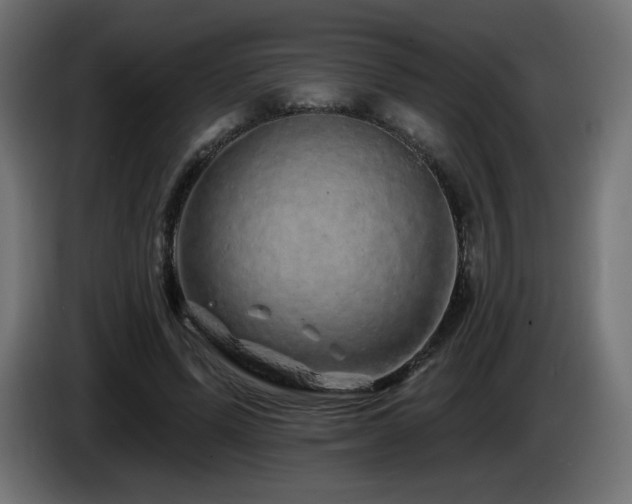 X0000085060591200703051441