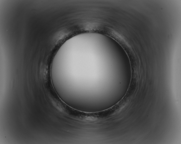 X0000085060592200703051441