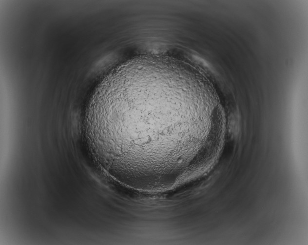 X0000085060594200703051441