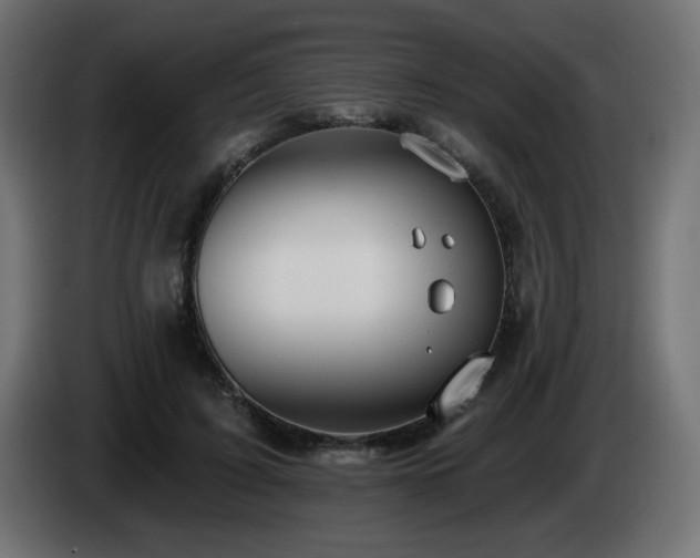 X0000085060595200703051441