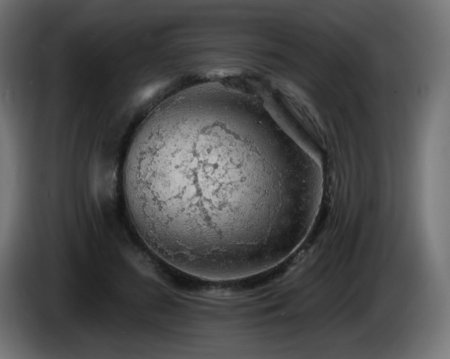 X0000085060596200703051440