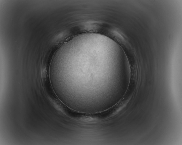 X0000085060597200703051440