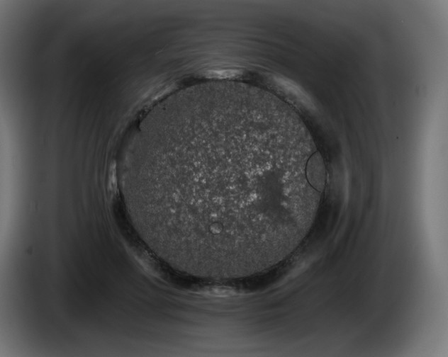 X0000085060598200703051440