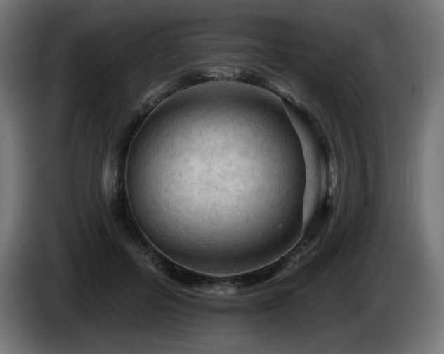 X0000085060600200703051440