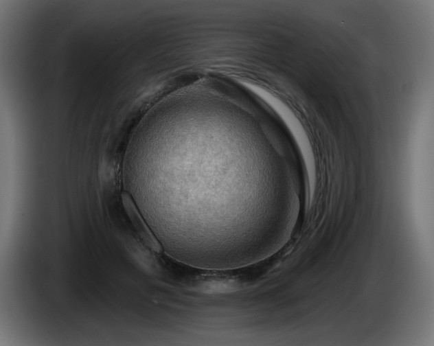 X0000085060601200703051440
