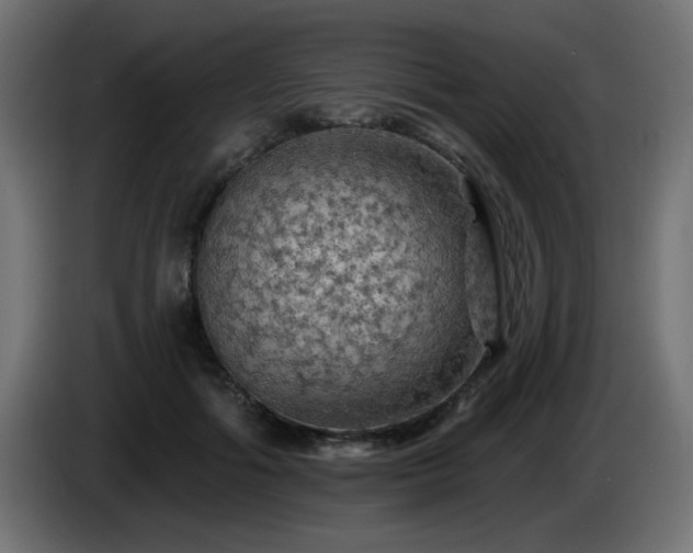 X0000085060602200703051440