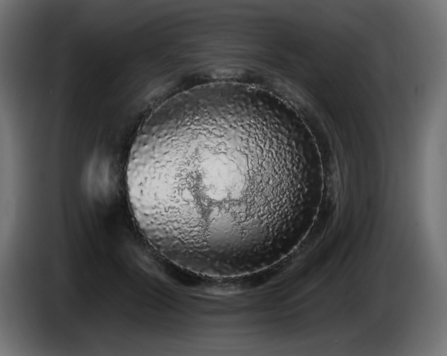 X0000085060604200703051440