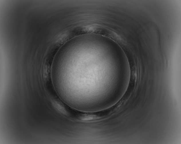 X0000085060605200703051440