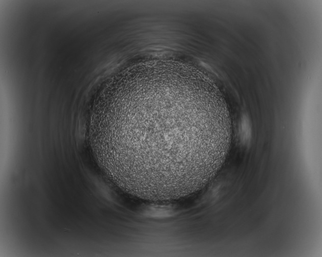 X0000085060606200703051440