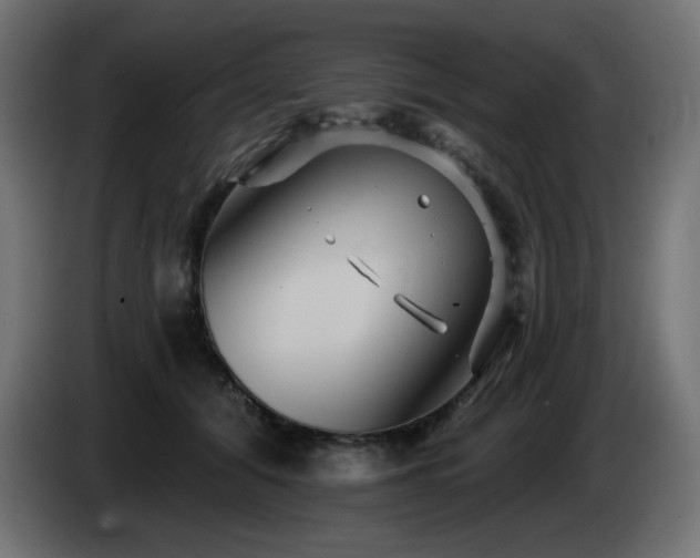 X0000085060608200703051440