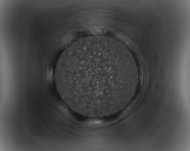 X0000085060610200703051440